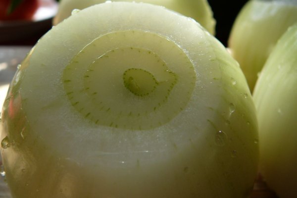 Мега дарнет onion mega sbs